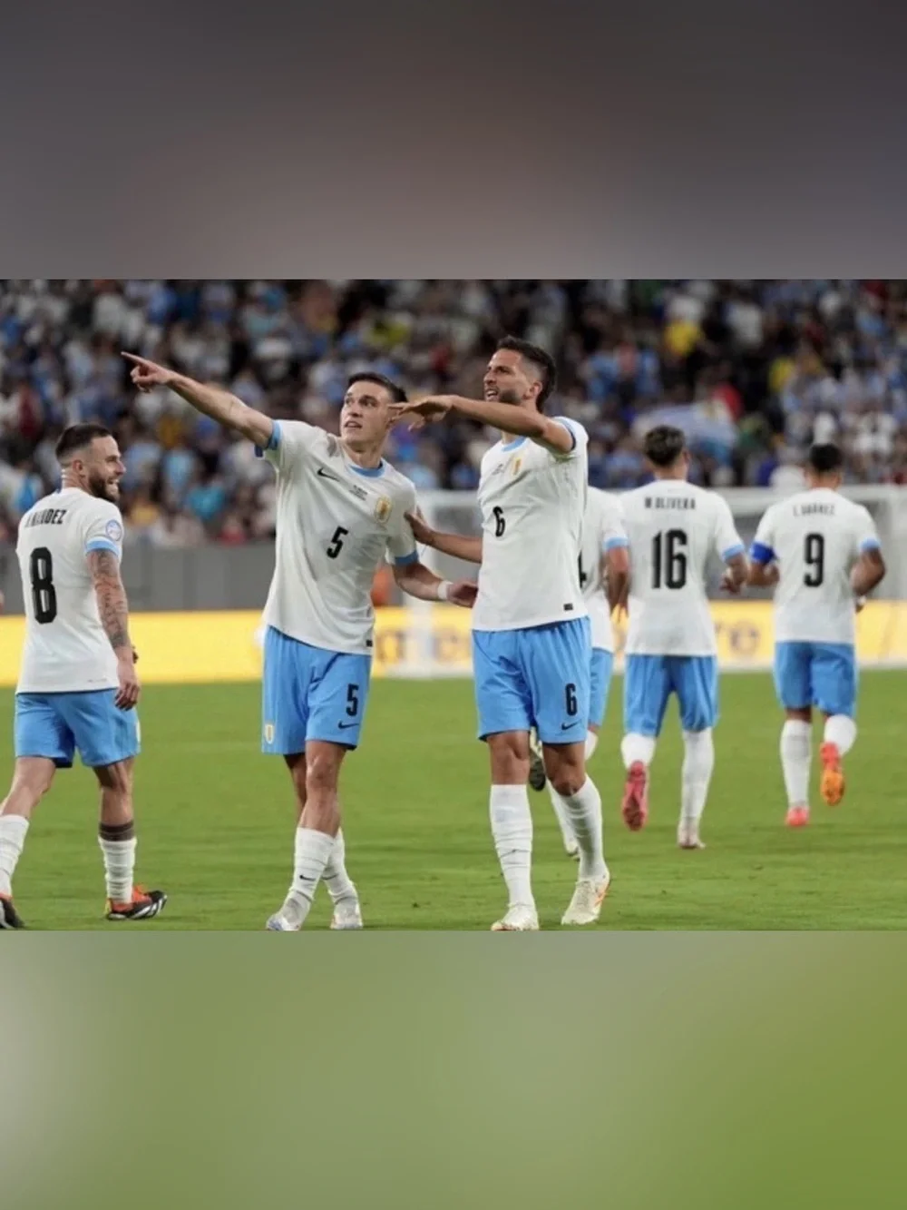 Nike Authentic Uruguay National Team 2024/25 Soccer IM8582-100 Jersey Men’s Sz L
